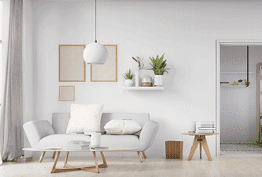 专业版功能的免费测试呼死你